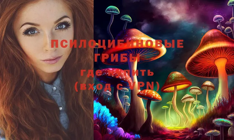 гидра   Ужур  Галлюциногенные грибы Psilocybe 